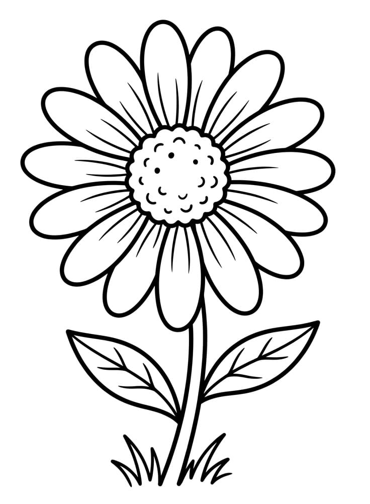 Fiore di Margherita da colorare