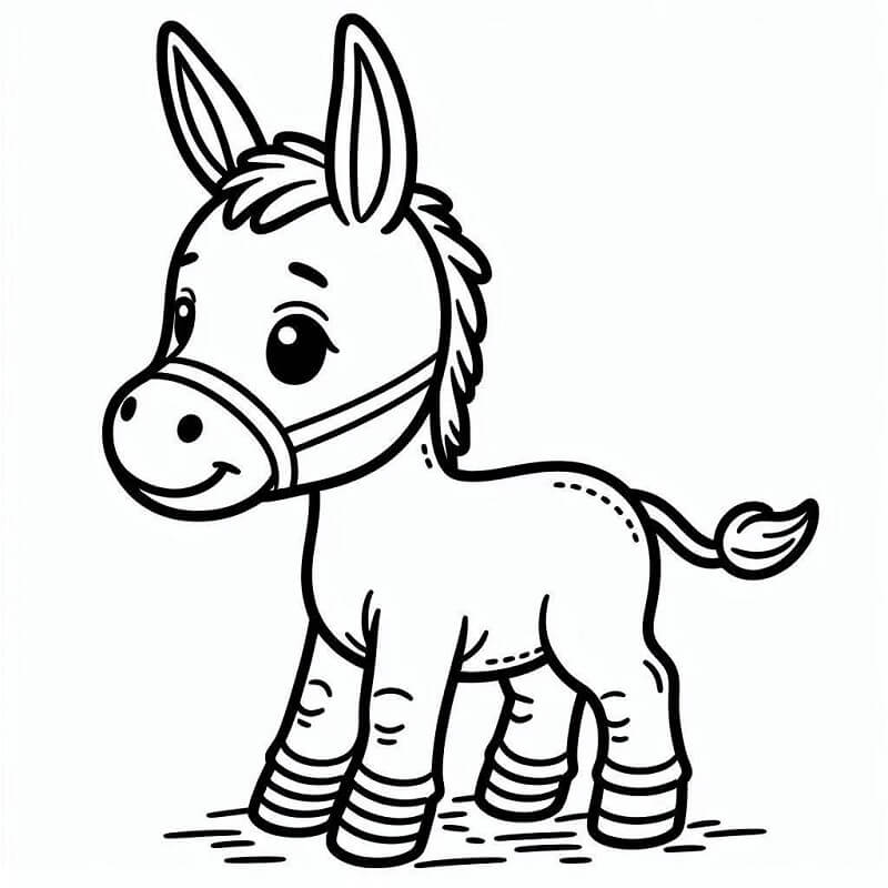 Gratis Asino da Stampare da colorare