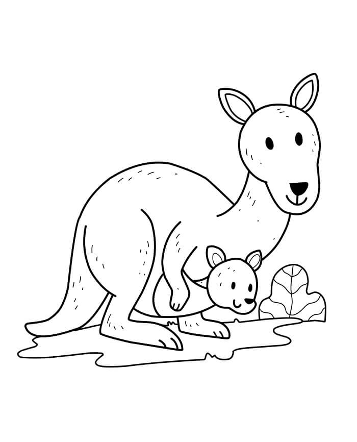 Gratis Canguro da Stampare da colorare