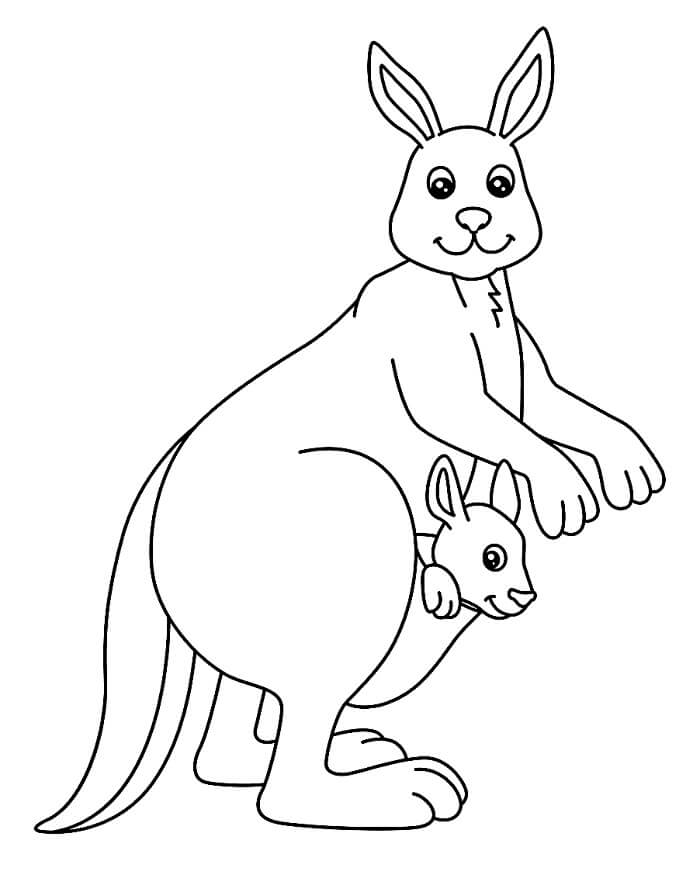 Gratis Immagine Canguro da colorare