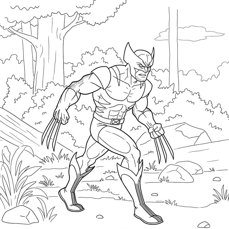 Gratis Wolverine da Stampare da colorare