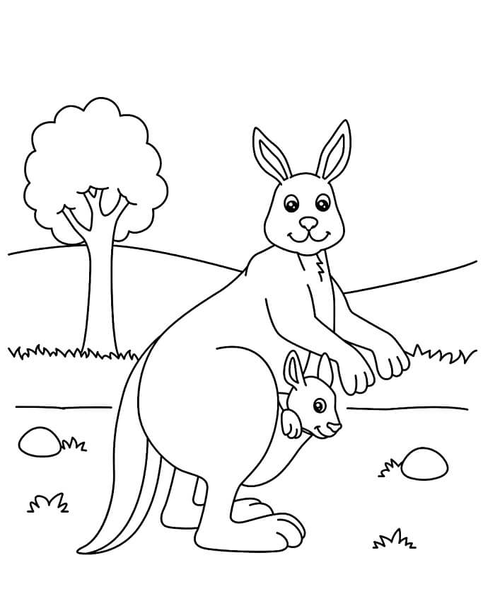 Immagine Canguro da colorare