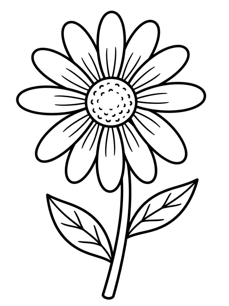 Margherita Base da colorare