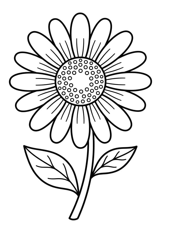 Margherita Facile da colorare