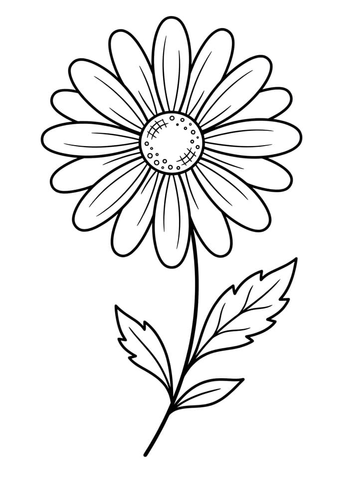 Margherita Incantevole da colorare