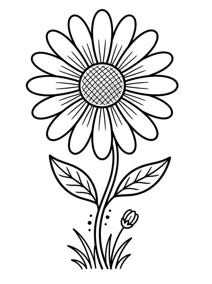 Margherita Meravigliosa da colorare