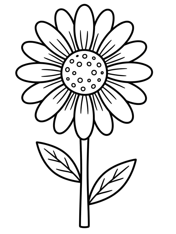 Margherita Semplice da colorare