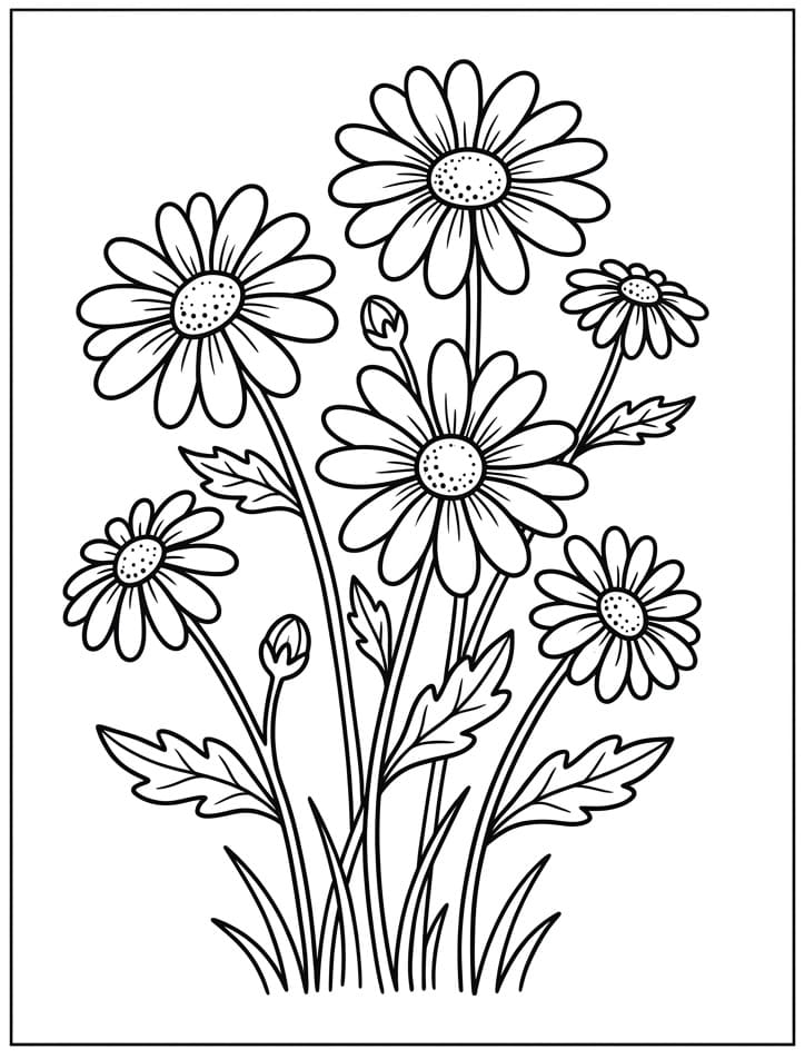 Margherita Stampabile Gratis da colorare
