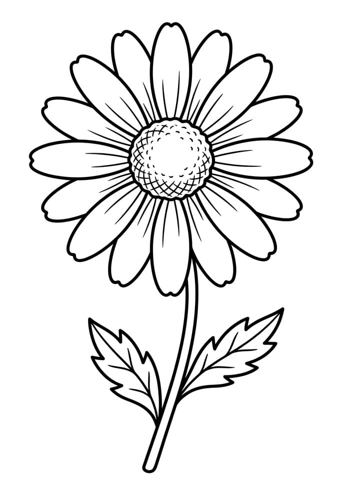 Margherita Straordinaria da colorare
