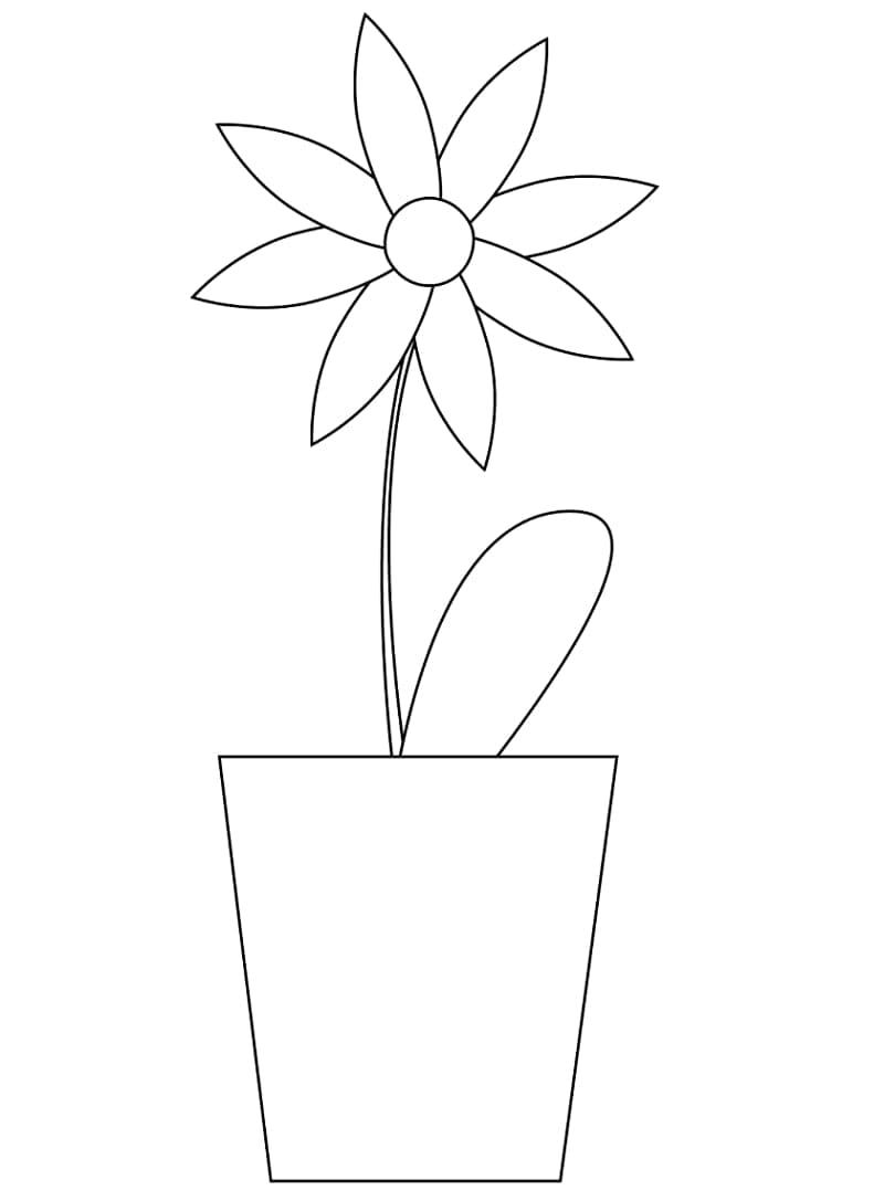 Margherita per Bimbi di 1 Anno da colorare