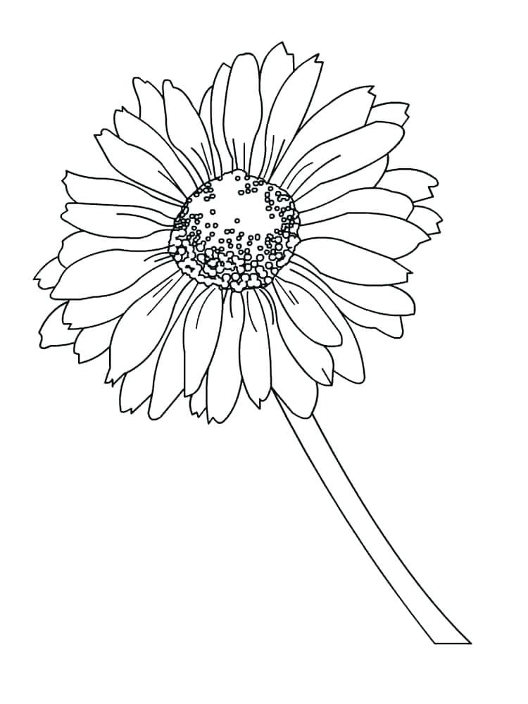 Margherita per Bimbi da colorare
