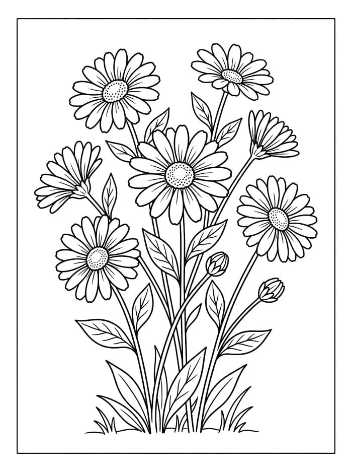 Margherite da colorare