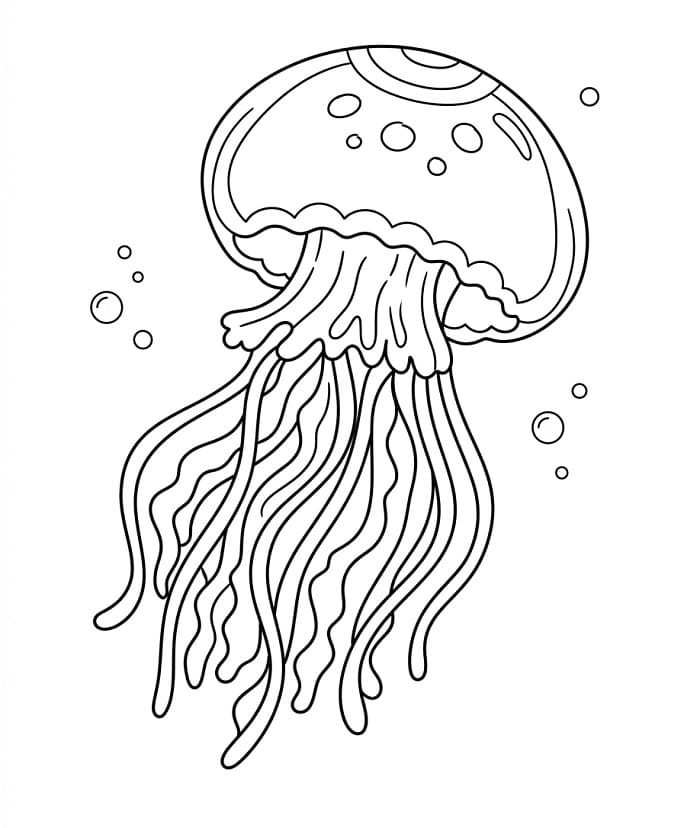 Medusa Semplice da colorare