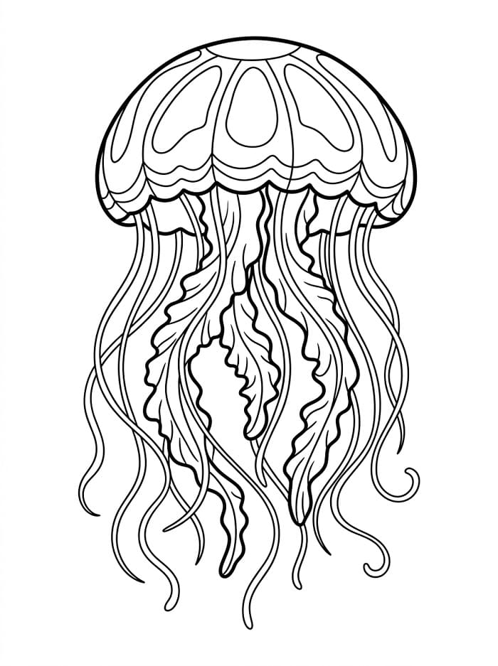 Medusa Tenerissima da colorare
