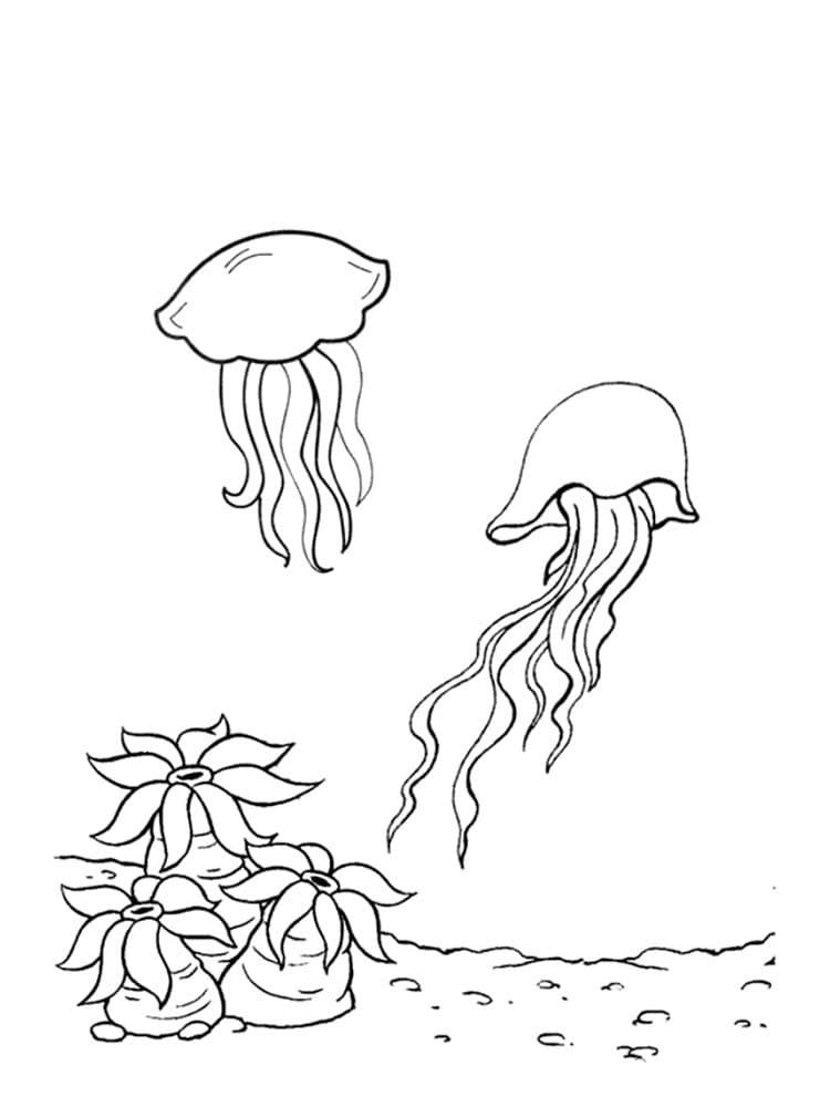 Medusa da Stampare da colorare