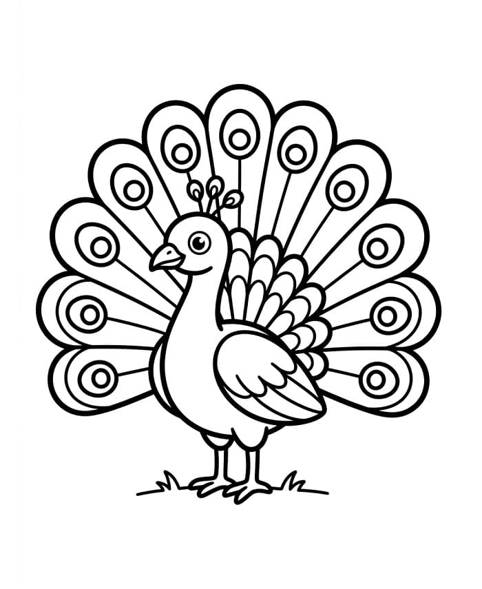Pavone animato da colorare