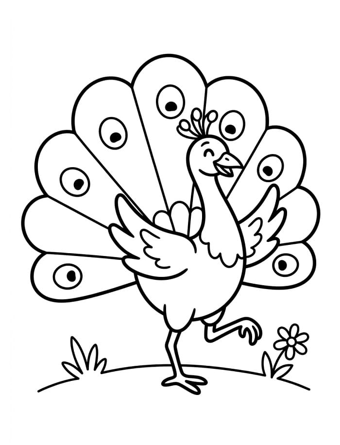 Pavone bellissimo da colorare