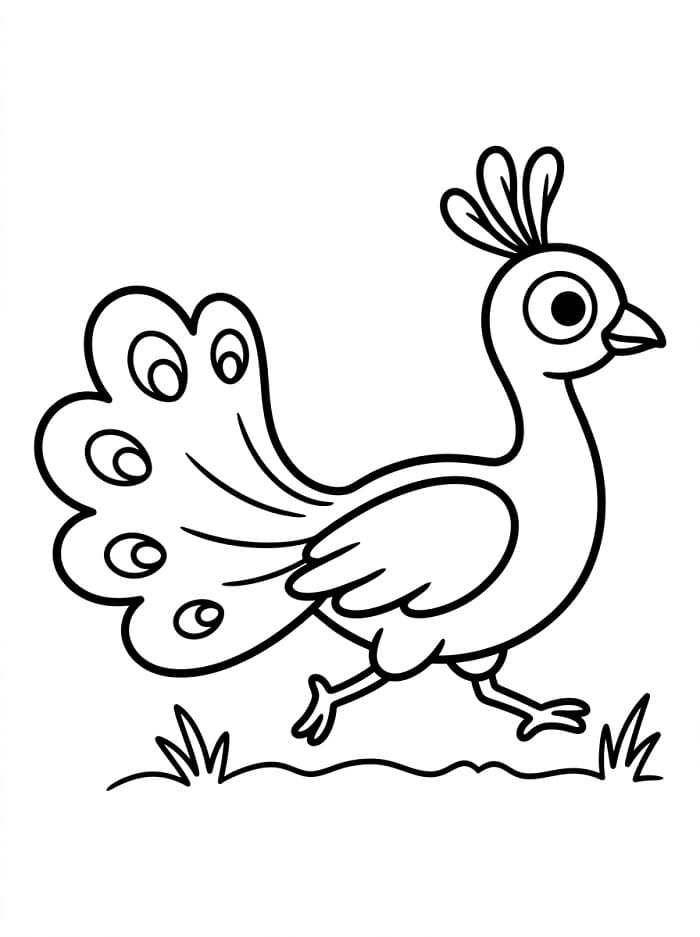 Pavone carino da colorare