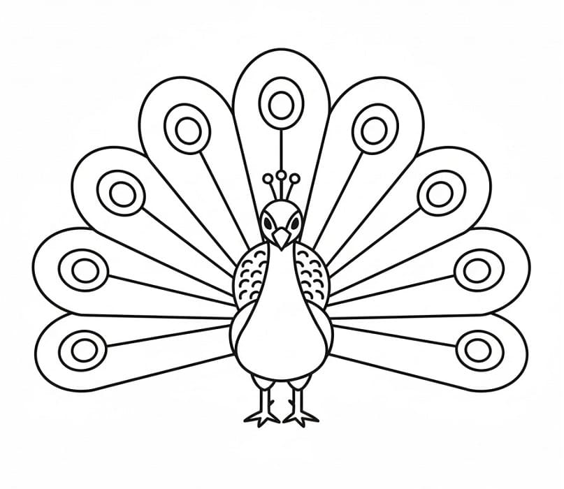 Pavone gratuito per bambini da colorare