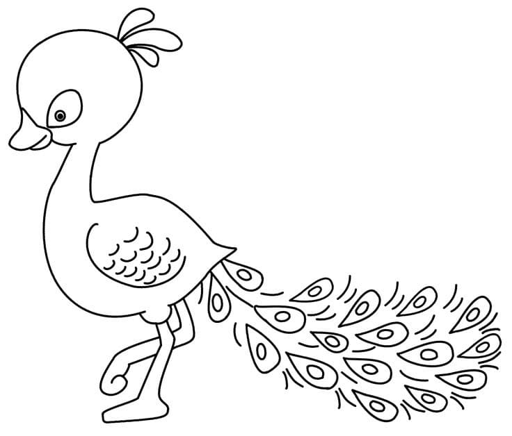 Pavone gratuito per i più piccoli da colorare
