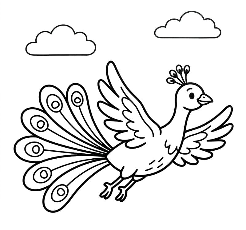 Pavone grazioso da colorare