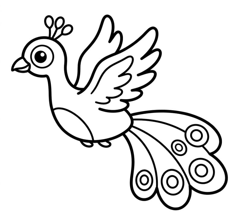 Pavone incantevole da colorare