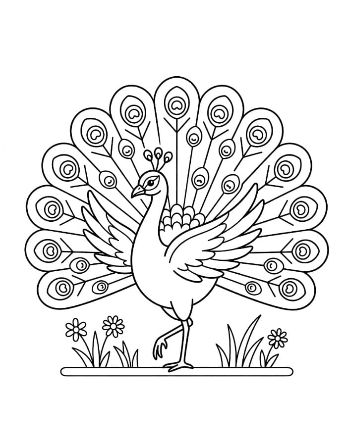 Pavone stampabile da colorare