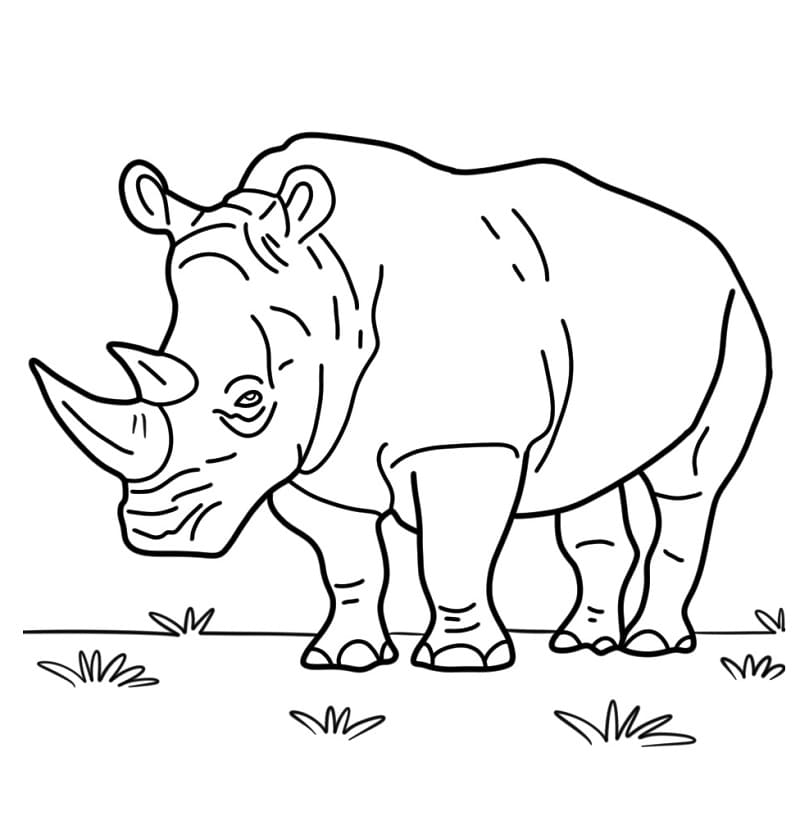 Stampa rinoceronte da colorare