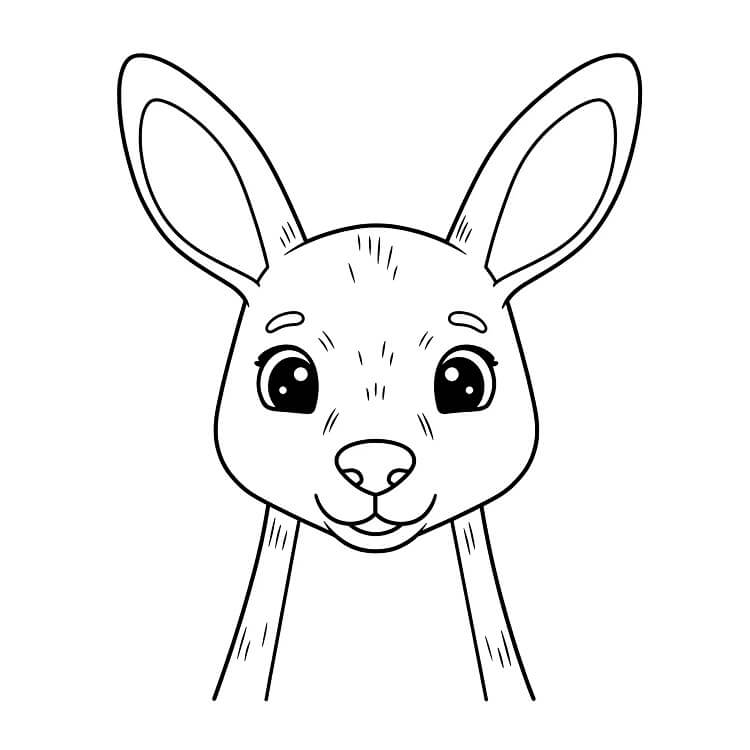 Stampabile Gratis Canguro da colorare