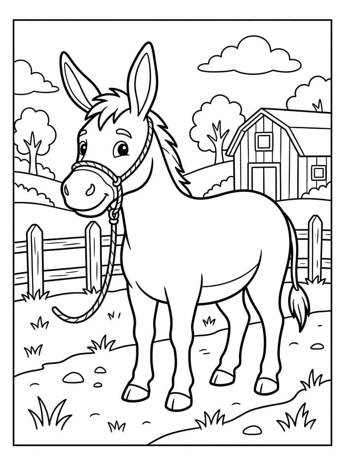 Un Asino da colorare