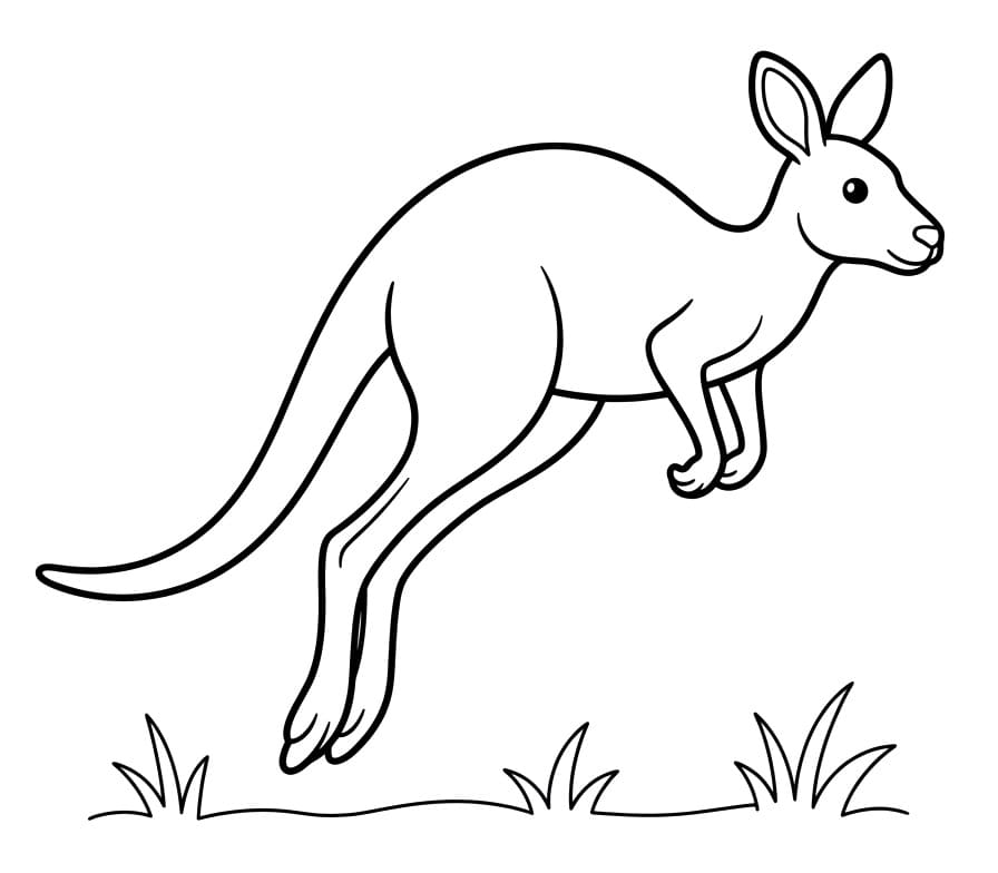 Un Canguro Carino da colorare