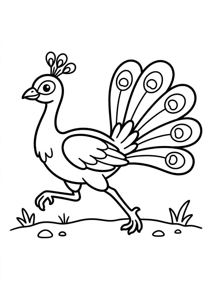 Un pavone elegante da colorare