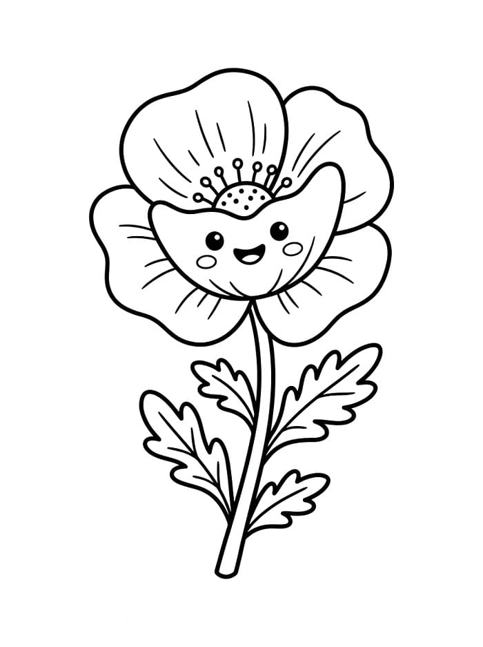 Fiore di papavero carino da colorare