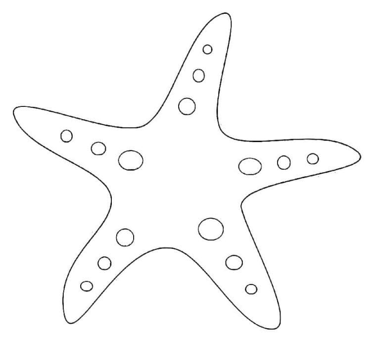 Gratis Stella Marina Stampabile da colorare