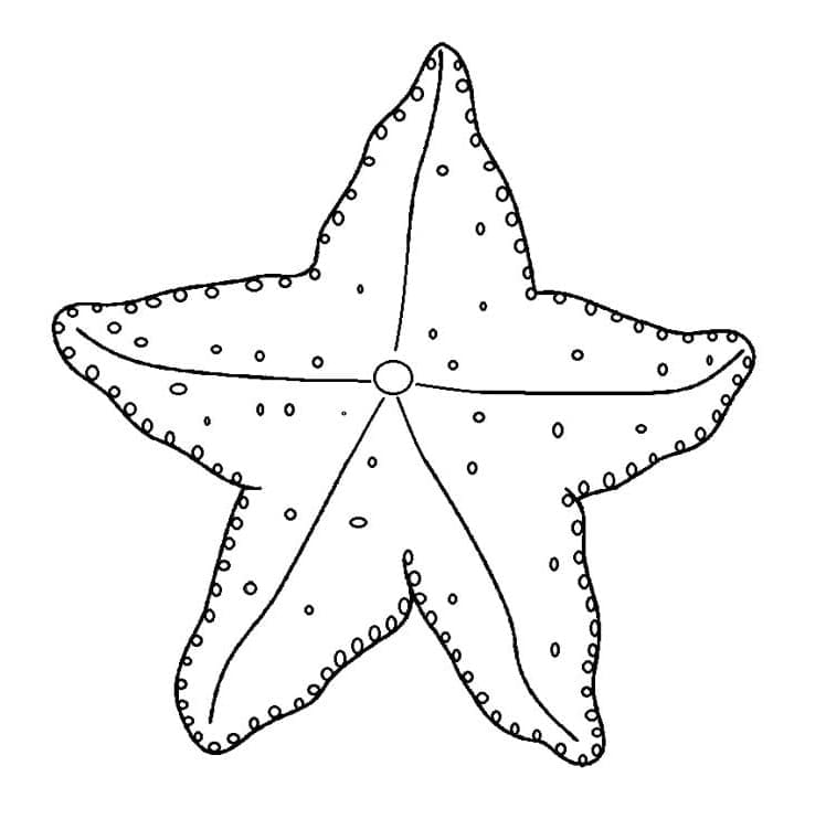 Immagine Stampabile Stella Marina da colorare