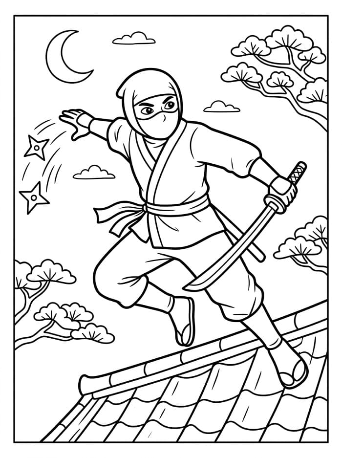 Ninja nella Notte da colorare