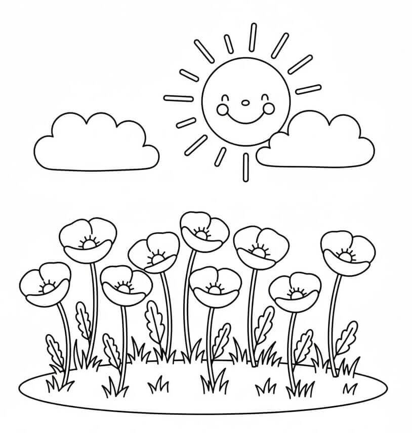 Sole e papaveri da colorare