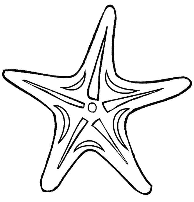 Stampabile Gratis Stella Marina da colorare