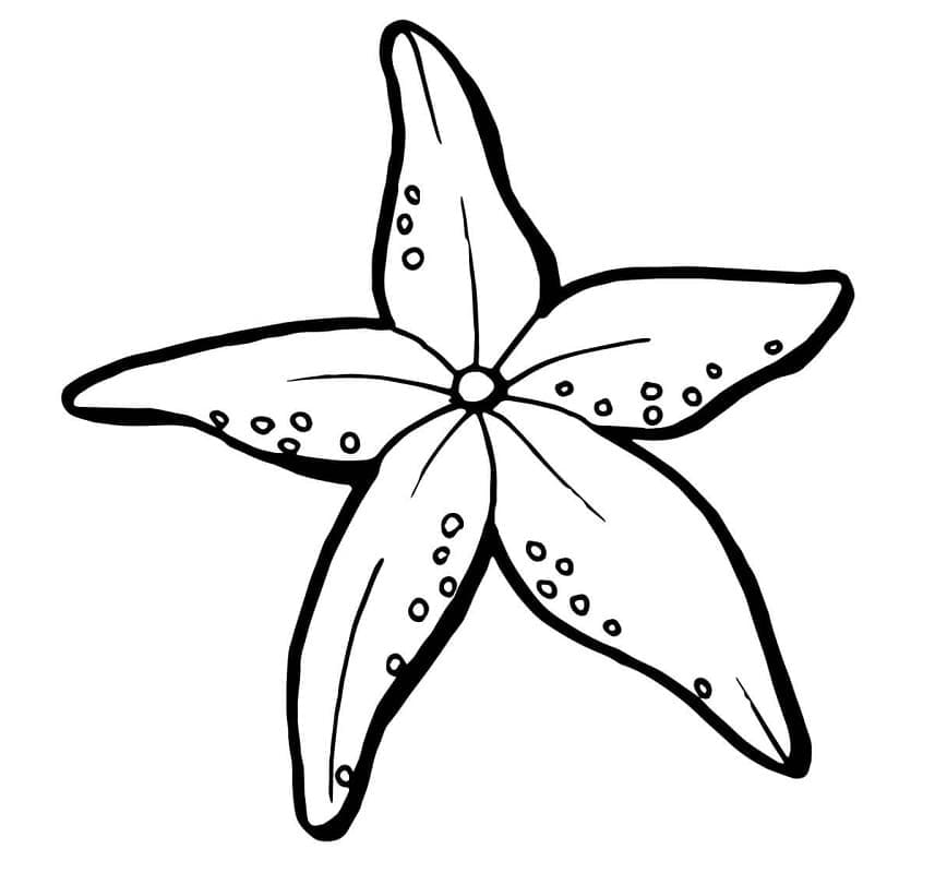 Stampabile Stella Marina Omaggio da colorare