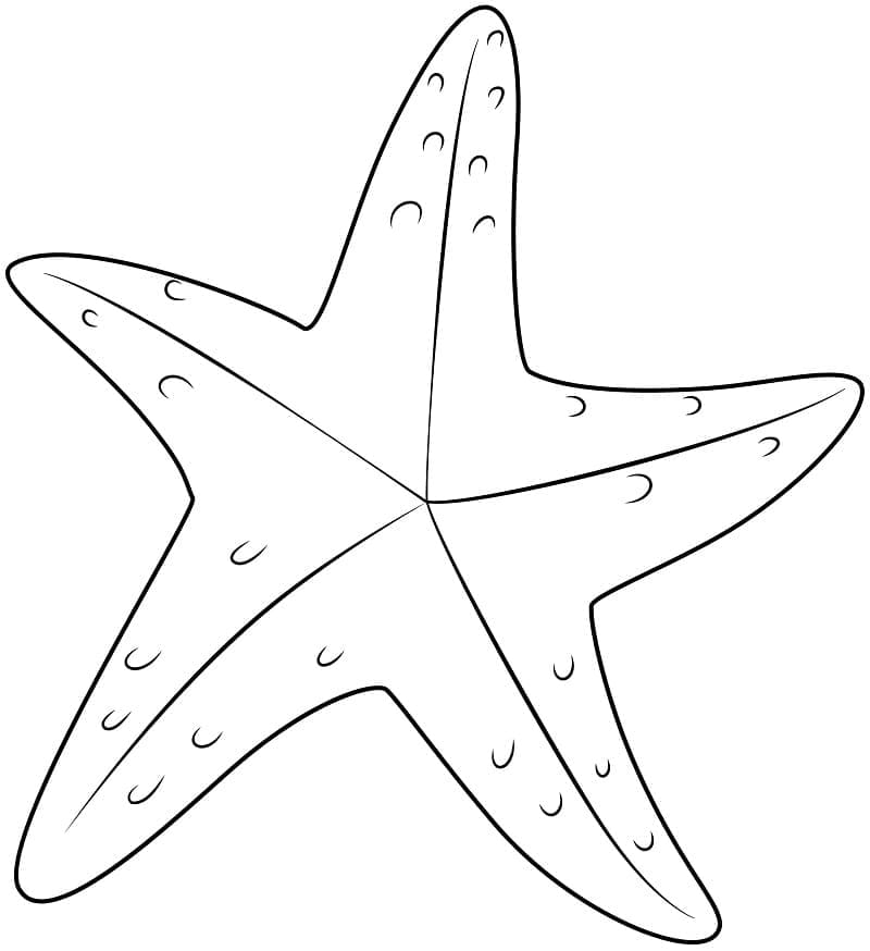 Stella Marina Immagine Gratis da colorare