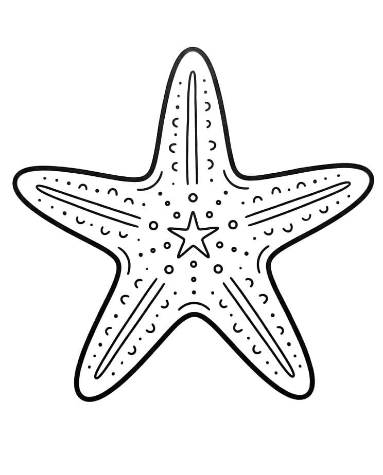 Stella Marina Tenerissima da colorare