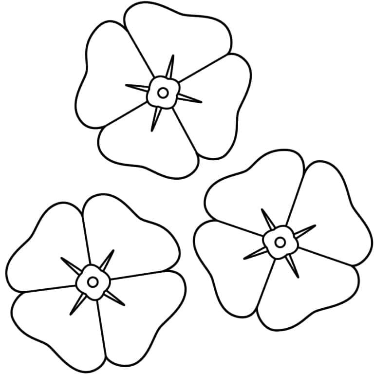 Tre fiori di papavero da colorare