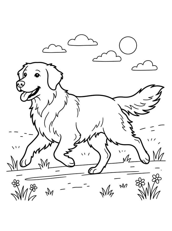 Golden Retriever Adorabile da colorare