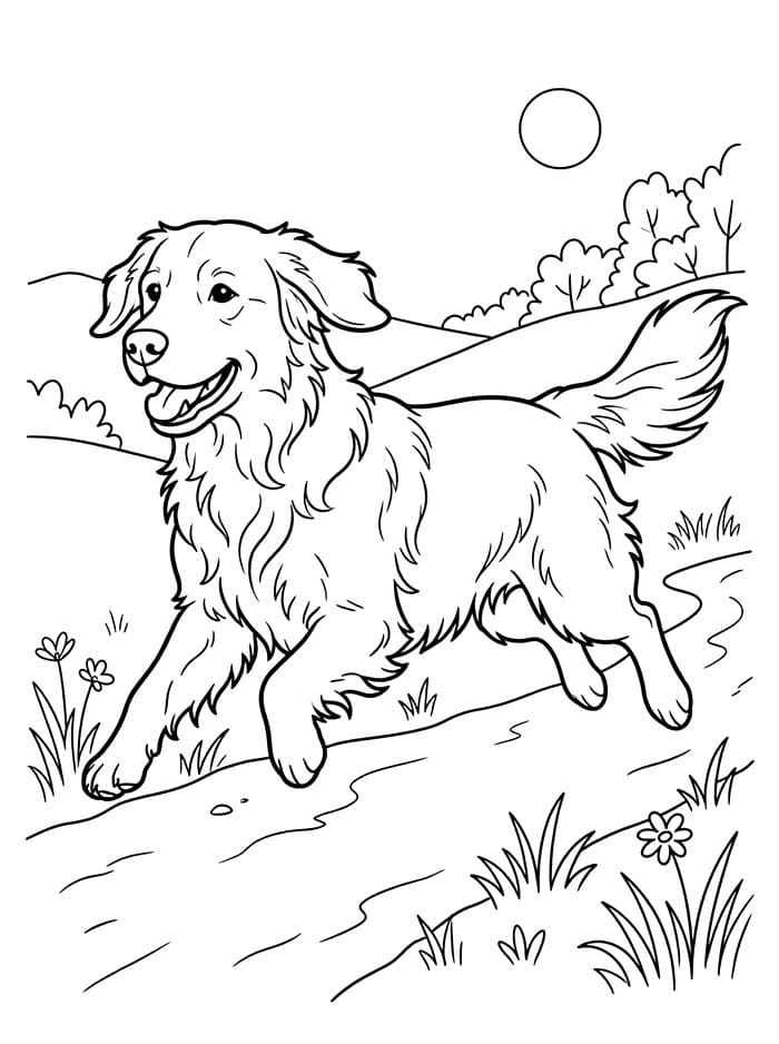 Golden Retriever Gratuito da colorare