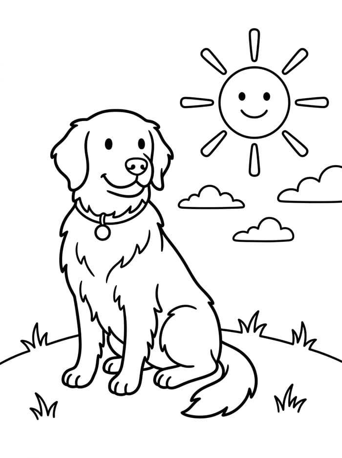 Golden Retriever Grazioso da colorare