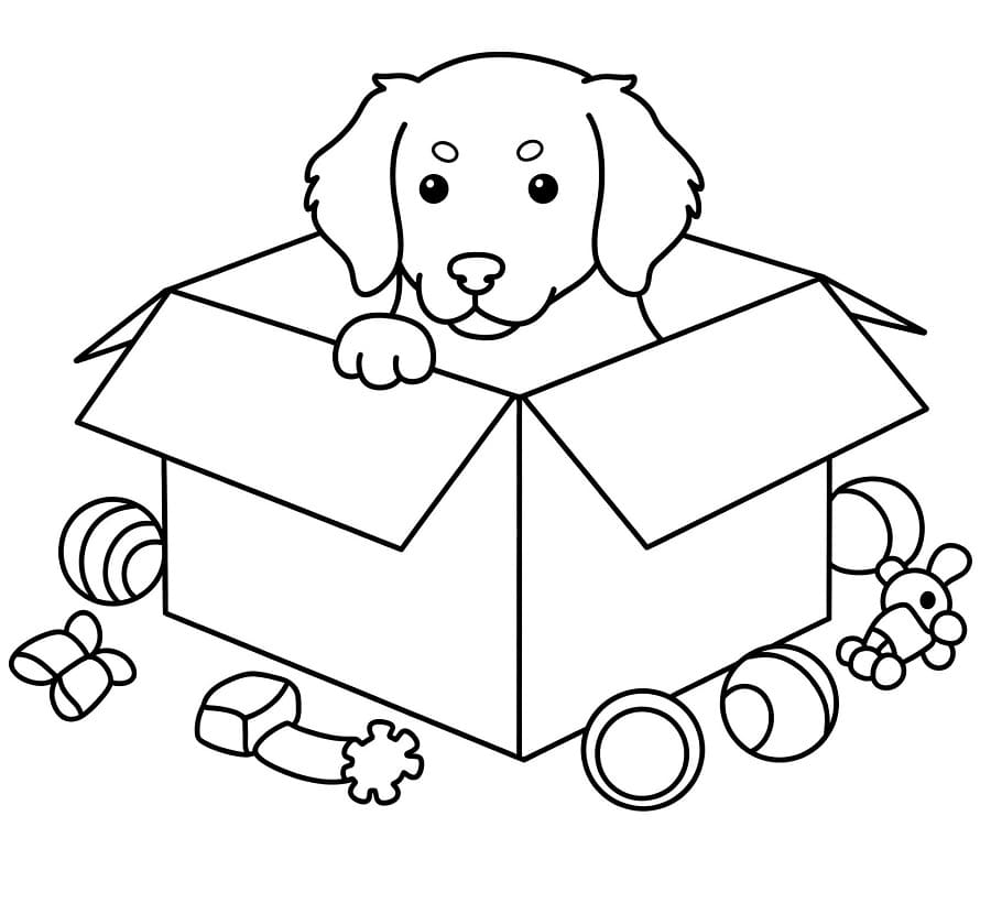 Golden Retriever Immagine Gratis da colorare
