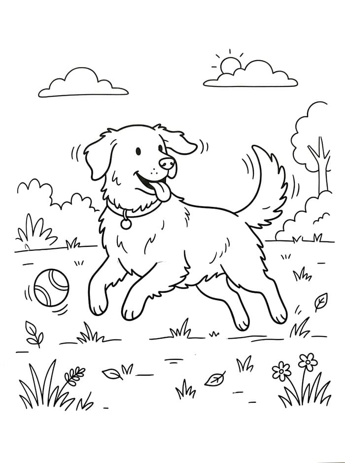 Golden Retriever Omaggio da colorare