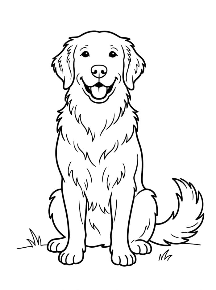 Golden Retriever Regalo da colorare