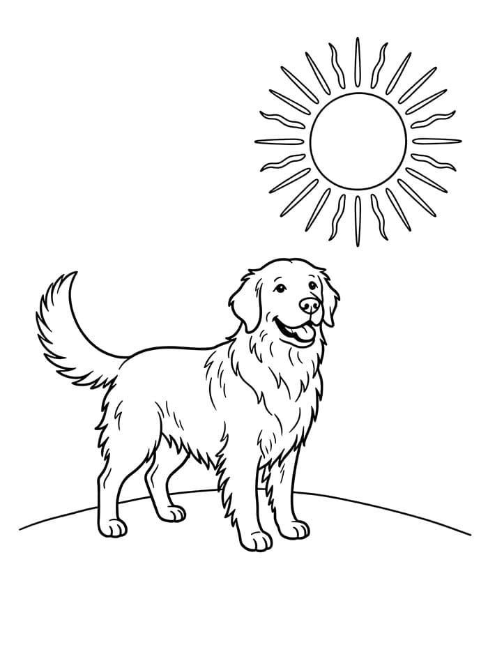 Golden Retriever Semplice da colorare