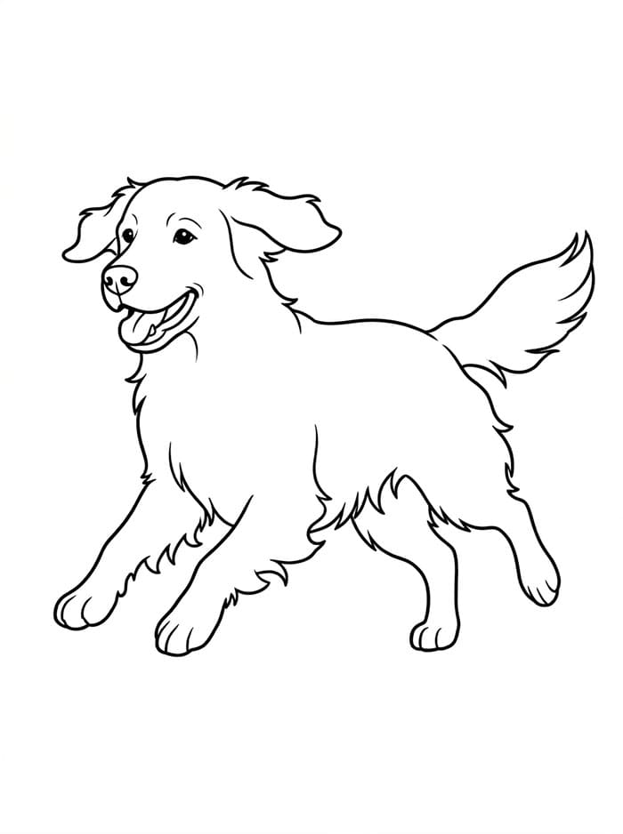 Golden Retriever Stampabile Gratis da colorare